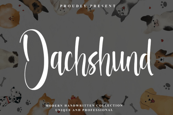 Dachshund: A Modern Handwritten Font for Business