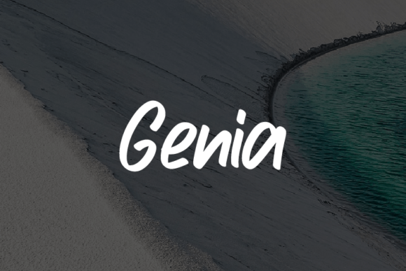 Genia: A Real-World Designer Review