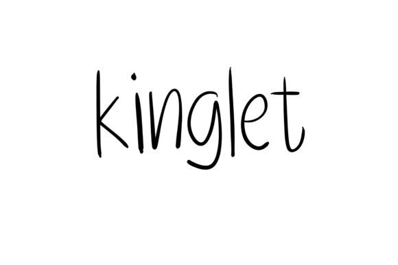 Kinglet: A Fun Handwritten Font for Small Business