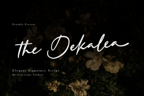 The Dekalea: A Premium Script Font for Campaigns