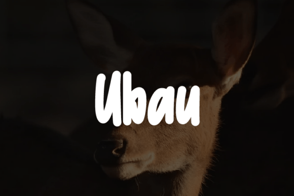 Ubau: A Modern Typeface for Digital Design