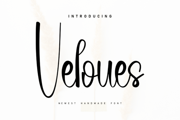 Veloues: A Handwritten Font for Modern Web Design